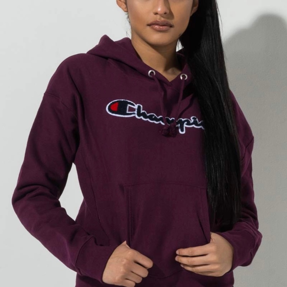 Champion hoodie sweatshirt